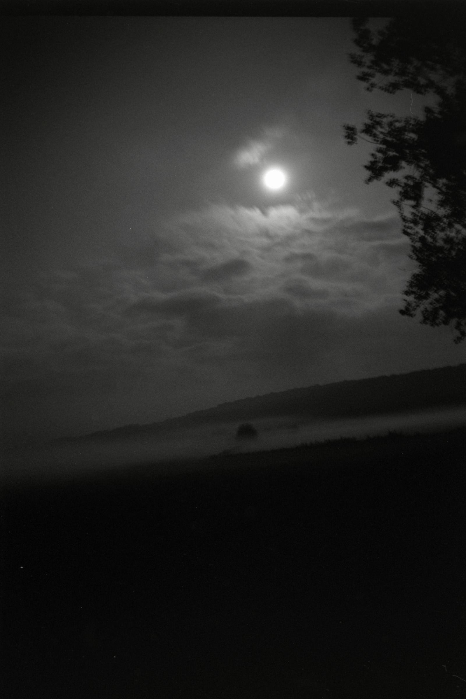 AHP F1990 09 006 sc250506 img31 NLP